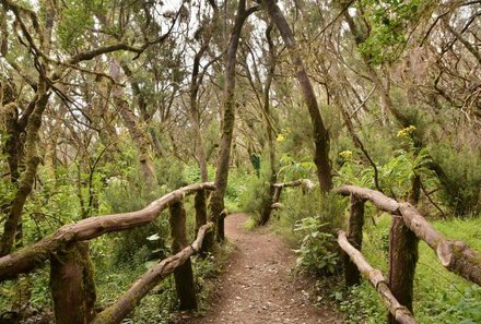 La Gomera Familienurlaub - La Gomera for family - Wanderung im Garajonay Nationalpark