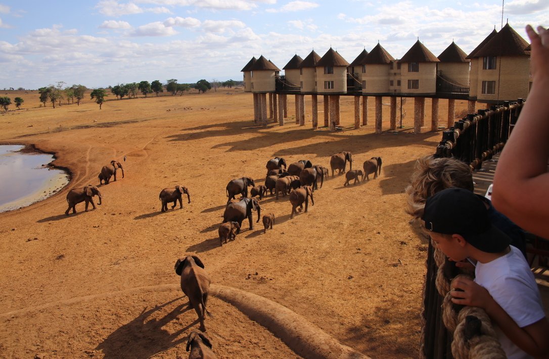 Reisbericht Kenia - Kenia mit Kindern - Stelzenlodge