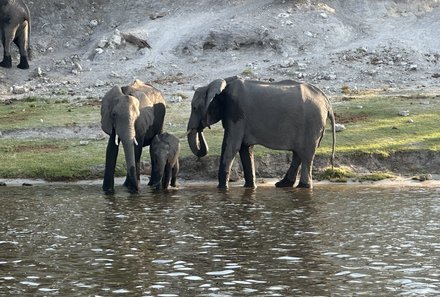 Familienreisen Namibia - Mietwagenreise Namibia for family individuell - Elefantenbeobachtung