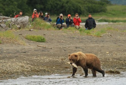 Familienurlaub Kanada - Kanada for family - Bärenbeobachtung