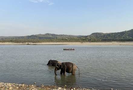 Nepal mit Kindern - Nepal Trekking mit Kindern - Elefant im Chitwan NP