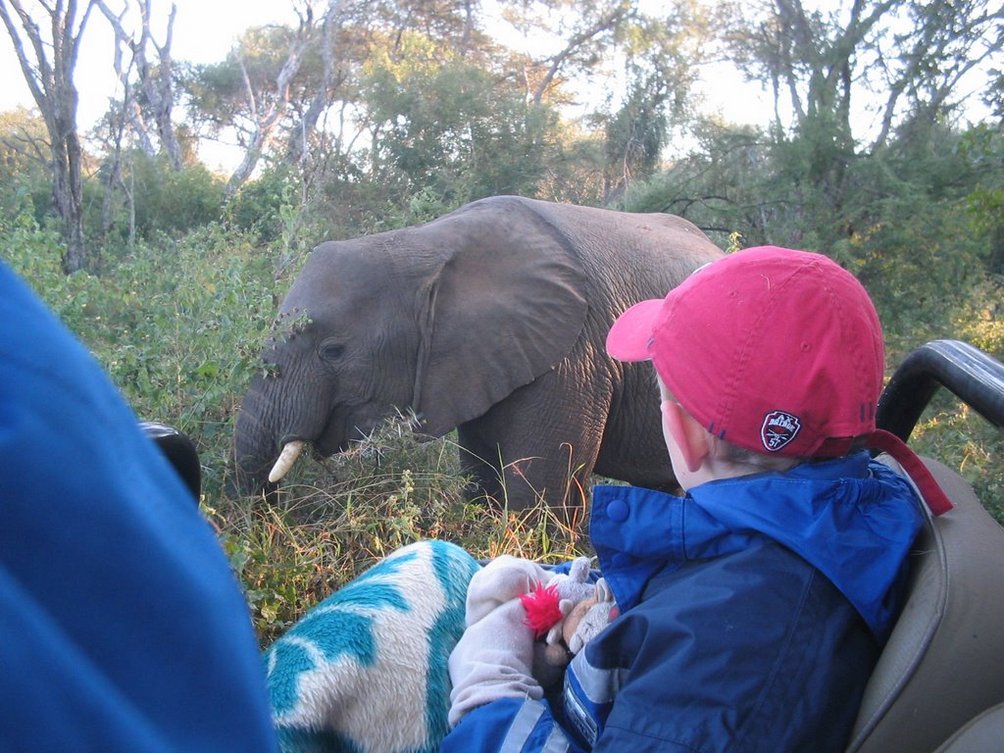 Südafrika mit Kindern - Südafrika for family - Kind auf Safari