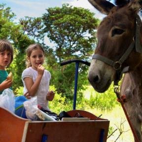 Korfu Schweden Familienreise - die beliebtesten Europa Reisen mit Kindern - Esel und Mädchen