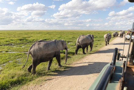 Kenia Familienreise - Kenia for family - Elefanten im Amboseli Nationalpark