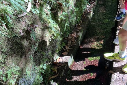 Madeira mit Kindern - Madeira for family - Beobachtungen Wasserfall-Wanderung Levada