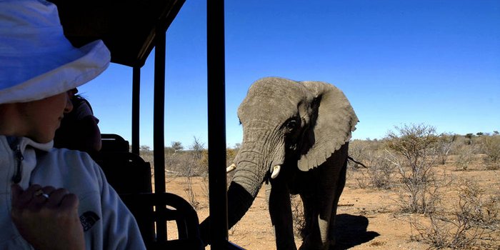Namibia Familienreise - Namibia mit Kindern - Elefant im Nationalpark
