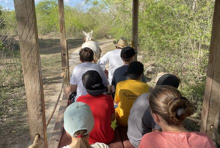 Mexiko Familienreise - Mexiko for family - Maultierfahrt Hacienda mit Kindern