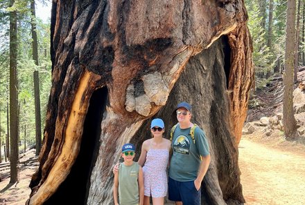 USA Familienreise - USA Westküste for family - Yosemite Nationalpark - Mammutbaum Mariposa Grove