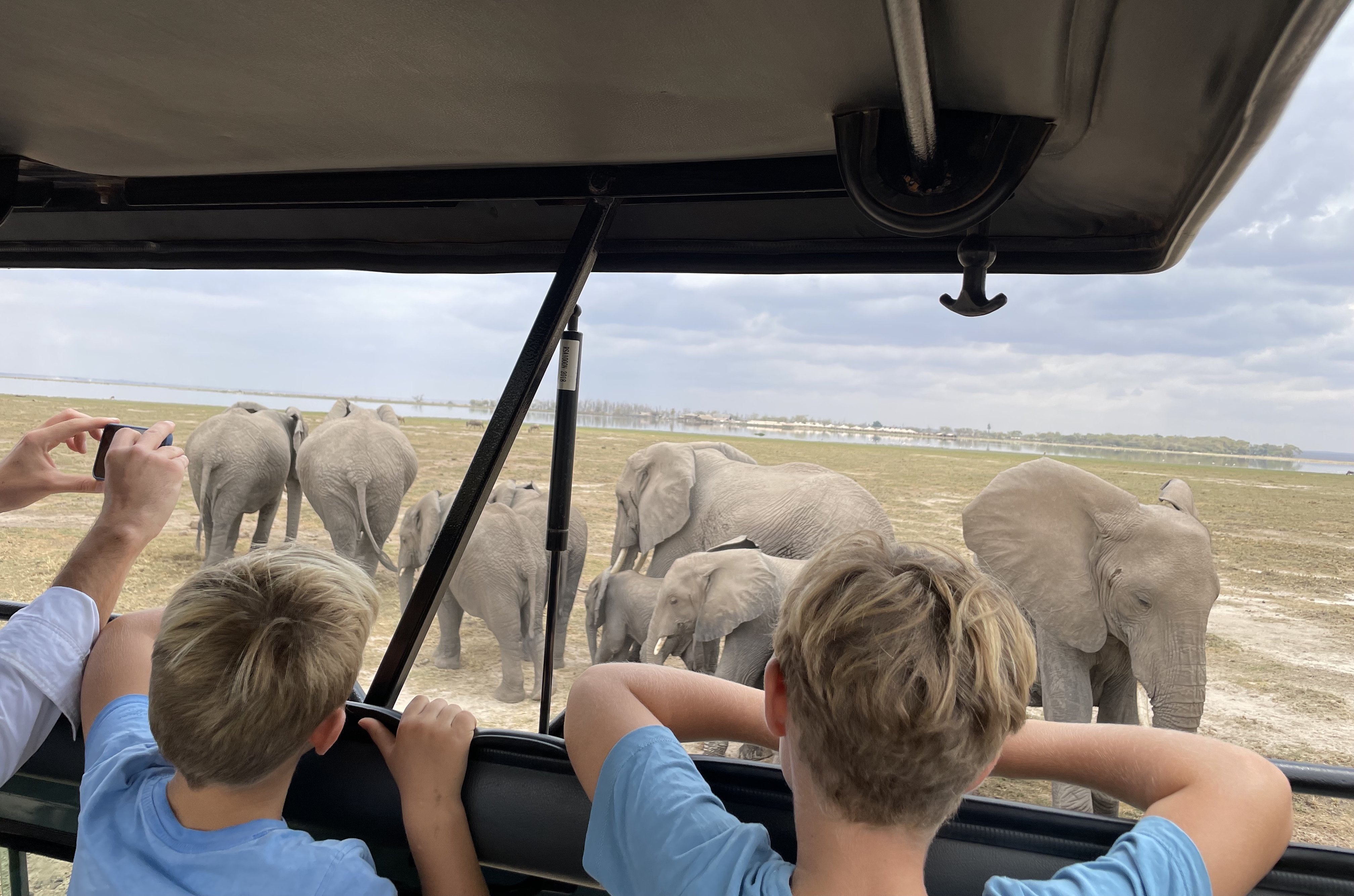 Reisbericht Kenia - Kenia mit Kindern - Elefantenherde vor dem Jeep