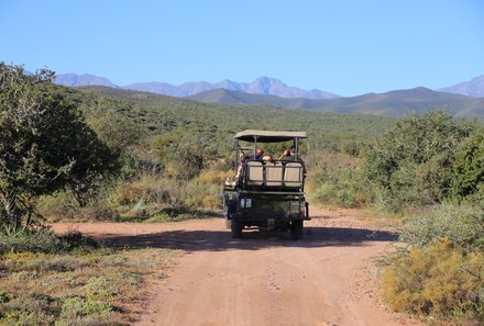 Familienurlaub Garden Route - Garden Route for family - Buffelsdrift Game Lodge