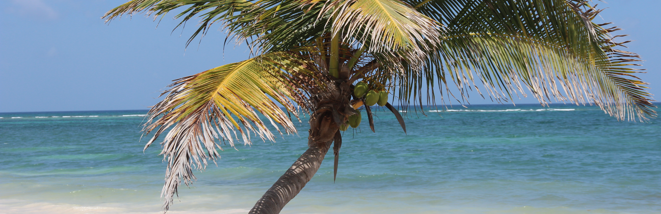 Familienurlaub Mexiko Yucatán - Mexiko mit Kindern Erfahrungen - Strand von Tulum