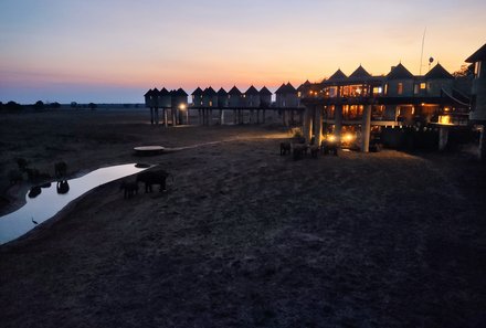 Kenia Family & Teens - Salt Lick Safari Lodge - Abenddämmerung