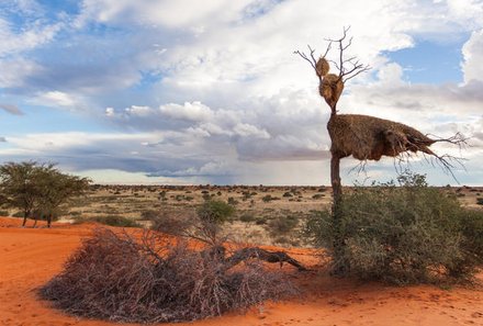 Botswana Familienreise - Botswana for family individuell - Kalahari Landschaft