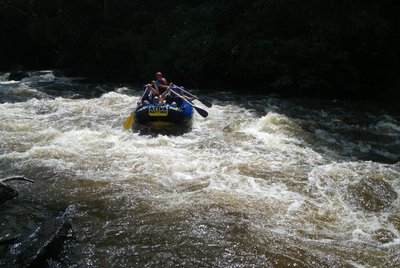 IMGP3328 25000025