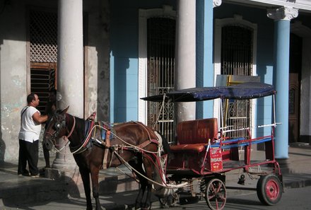 Kuba - Ein spannendes Ziel für Familienreisen - Kuba mit Kindern - Pferdekarren in Cienfuegos