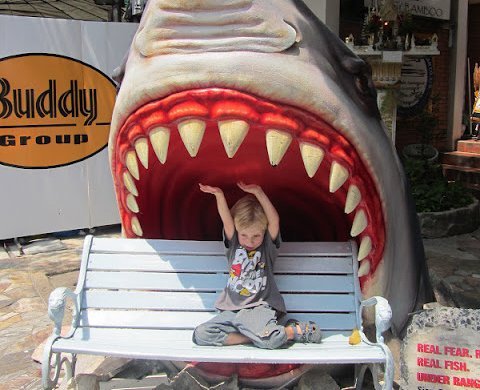 Fernreisen mit Kindern - Kleiner Junge mit Hai Statue