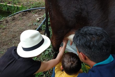 Familienreise Galapagos und Ecuador - Galapagos Family & Teens - Kuh melken