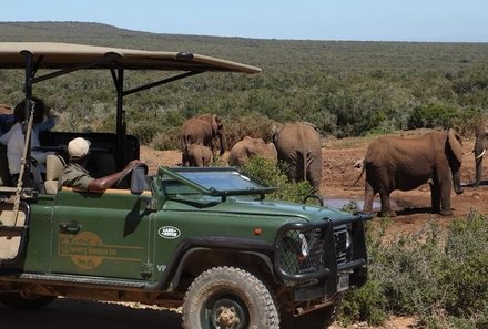Familienurlaub Garden Route - Garden Route for family individuell - Elefanten