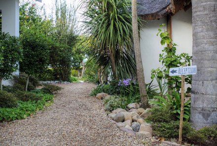 Garden Route Familienreise - Garden Route for family individuell - De Old Drift Guest Farm - Anlage