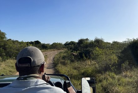 Garden Route Familienreise - Familiensafari plus - Kariega private Game Drive