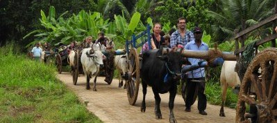 Sri Lanka mit Kindern - Ochsenkarren
