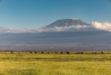 Kenia Familienreise - Kenia Family & Teens - Blick auf den Kilimanjaro