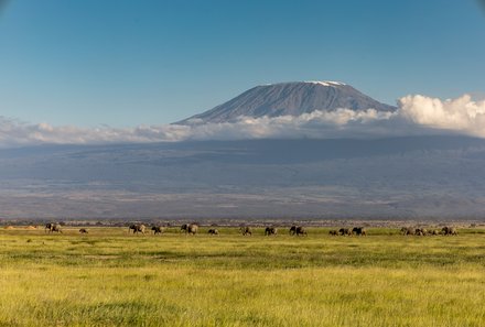Safari Afrika mit Kindern - Safari Urlaub mit Kindern - beste Safari-Gebiete - Amboseli Nationalpark - Blick auf Kilimandscharo