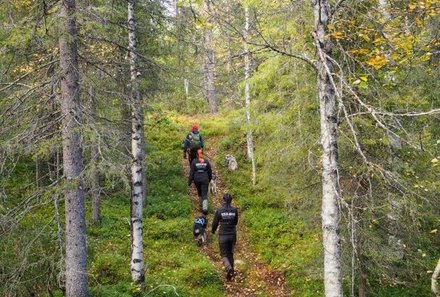 Finnland Familienreise - Finnland for family Summer - Mit Huskys im Wald