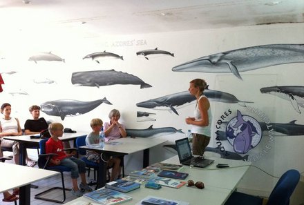 Azoren mit Kindern - Delfinschulung