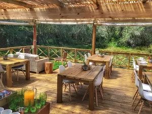 Familienreise Garden Route - Familiensafari zum Bestpreis - Forest Edge Nature Lovers Retreat - Restaurant