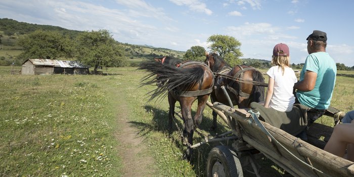 Rumänien Familienreise - Unterwegs im Pferdewagen