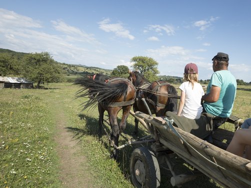 Rumänien Familienreise - Pferdekarren fahren