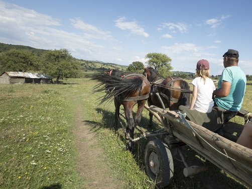 Rumänien Familienreise - die beliebtesten Europa Reisen mit Kindern - Familie fährt mit Pferdekutsche