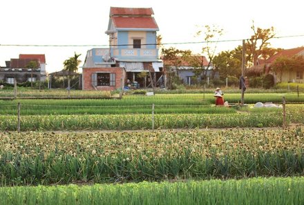 Vietnam for family individuell - Hoi An - Reisfelder und Umgebung