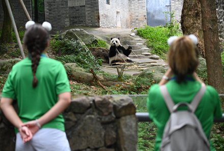 China Familienreise - China mit Jugendlichen - Kinder besuchen Pandas