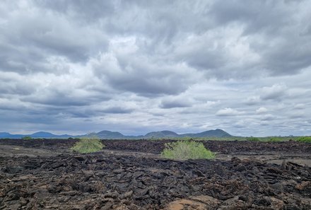 Kenia Familienreise - Kenia for family - Pirschfahrt durch den Tsavo West Nationalpark - Lavafelder