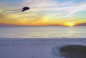 Florida Rundreise mit Kindern - Florida for family individuell - St. Petersburg - Thunderbird Beach Resort - Strand