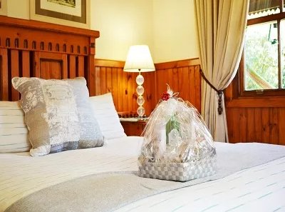 Familienreise Garden Route - Familiensafari zum Bestpreis - Forest Edge Nature Lovers Retreat - Zimmer