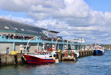 Bretagne Familienreise - Bretagne mit Kindern - Haliotika