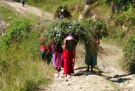 Nepal mit Kindern - Spendenprojekt For Family Reisen - Frauen in Nepal arbeiten auf Feldern