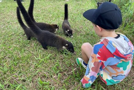 Familienurlaub Costa Rica - Costa Rica for family - Coati