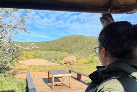 Garden Route mit Kindern individuell - Oudtshoorn - Buffelsdrift Game Lodge - Safari