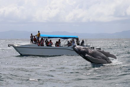 Dominikanische Republik mit Kindern - Dom Rep Familienreise - Samana - Walbeobachtungstour