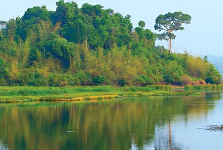 Vietnam Familienreise - Vietnam for family - Nam Cat Nationalpark - Natur