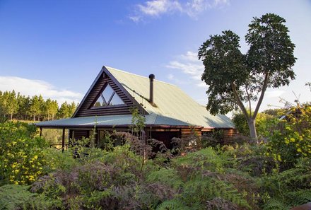 Garden Route Familienreise - Familiensafari plus - Tsitsikamma NP Fernery Lodge Chalets - Außenansicht