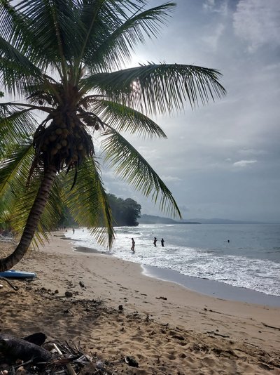 Feedback CRFI 04 Sommer 2023 - Costa Rica for family individuell - die große Rundreise - Strand mit Palmen