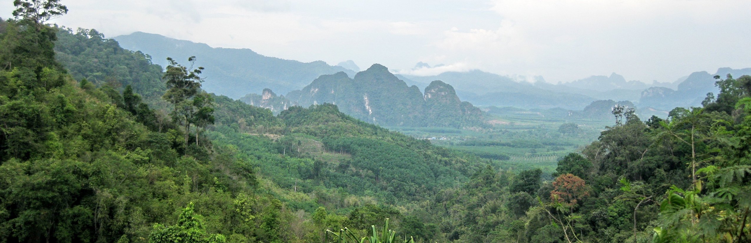 Thailand for family individuell - Individualreise Thailand Familie - Khao Sok Nationalpark Panoramablick