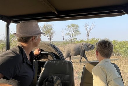 Familienurlaub Südafrika - Südafrika for family individuell - Krüger Nationalpark - Safari im Jeep