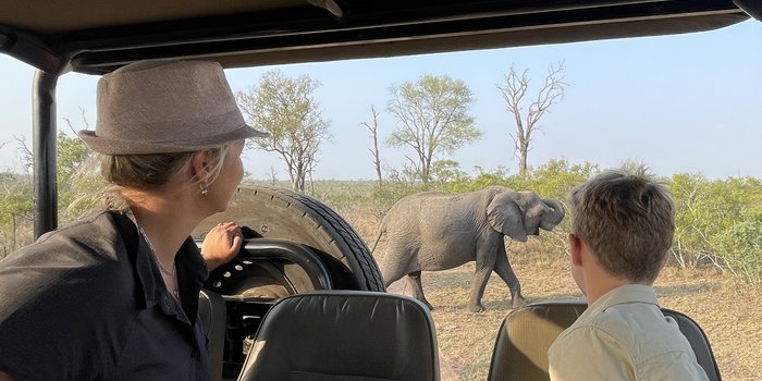 Rundreise Krüger Nationalpark mit Kindern - Safari-Fahrt im Krüger Nationalpark mit Kindern