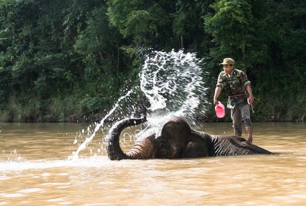 Laos und Vietnam Familienreise - Laos und Vietnam Reise mit Kindern - Elefant spielt mit Wasser